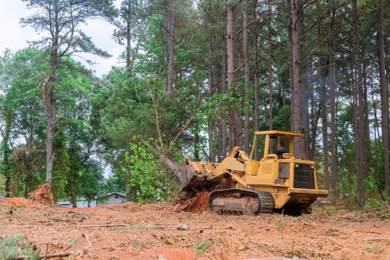Bulldozer Land Clearing