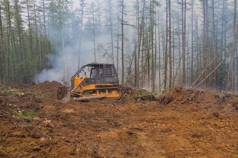 Bulldozer Land Clearing