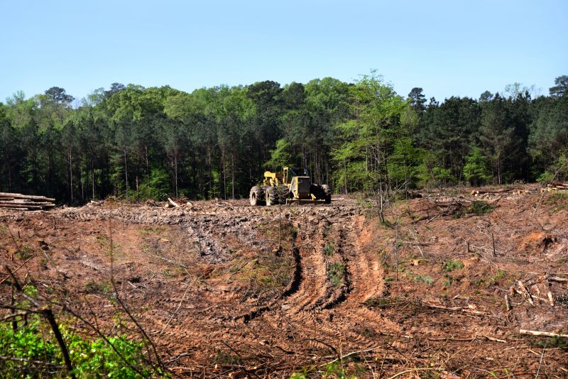 Bulldozer Land Clearing