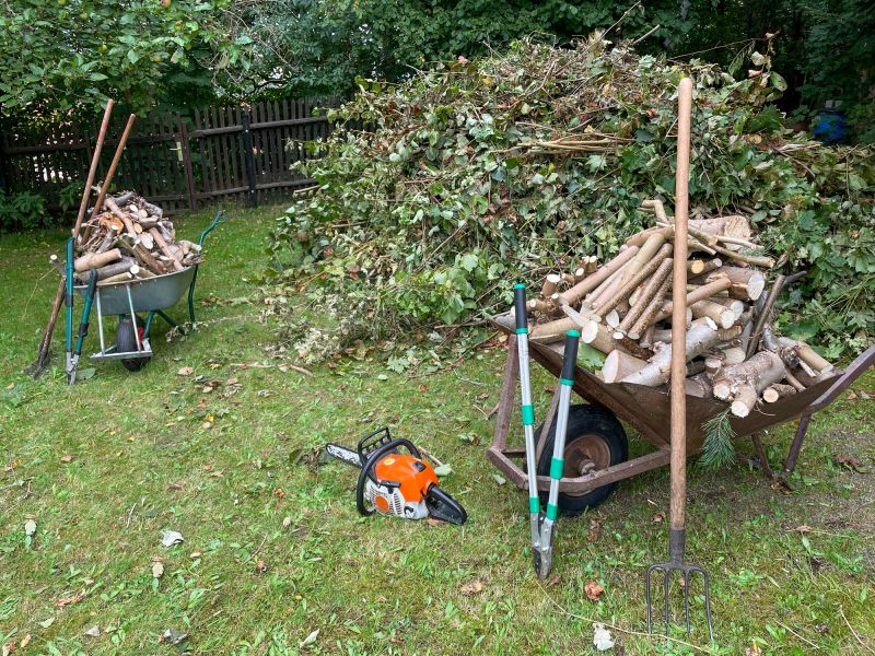Debris and Stump Removal